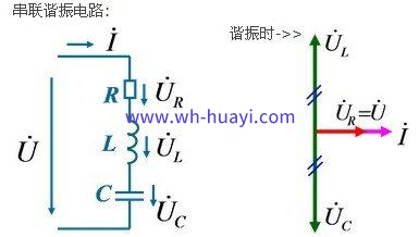 1QT953W-0_看图王.jpg